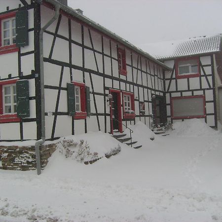 Ferienwohnung Duerbaum Schleiden Dış mekan fotoğraf
