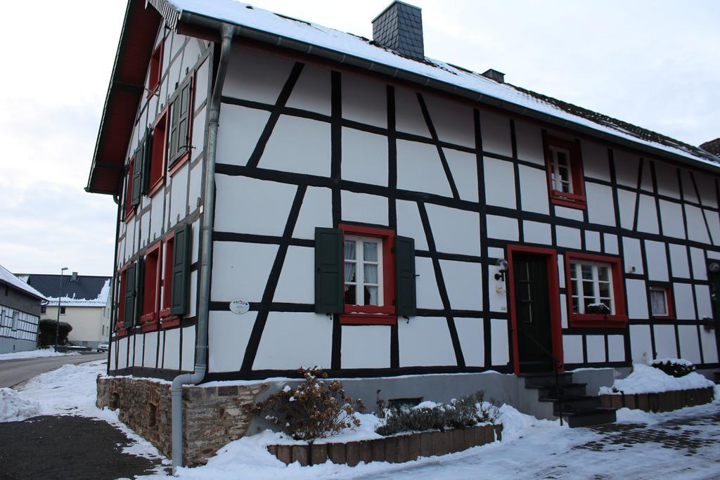 Ferienwohnung Duerbaum Schleiden Dış mekan fotoğraf