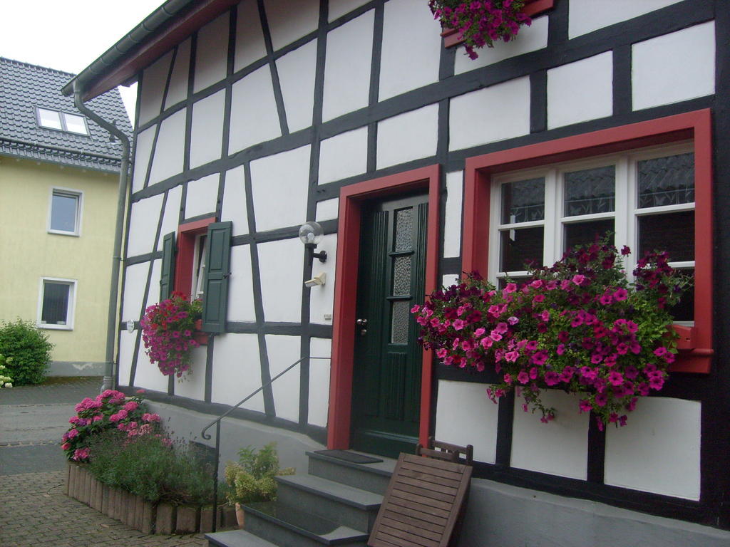 Ferienwohnung Duerbaum Schleiden Oda fotoğraf