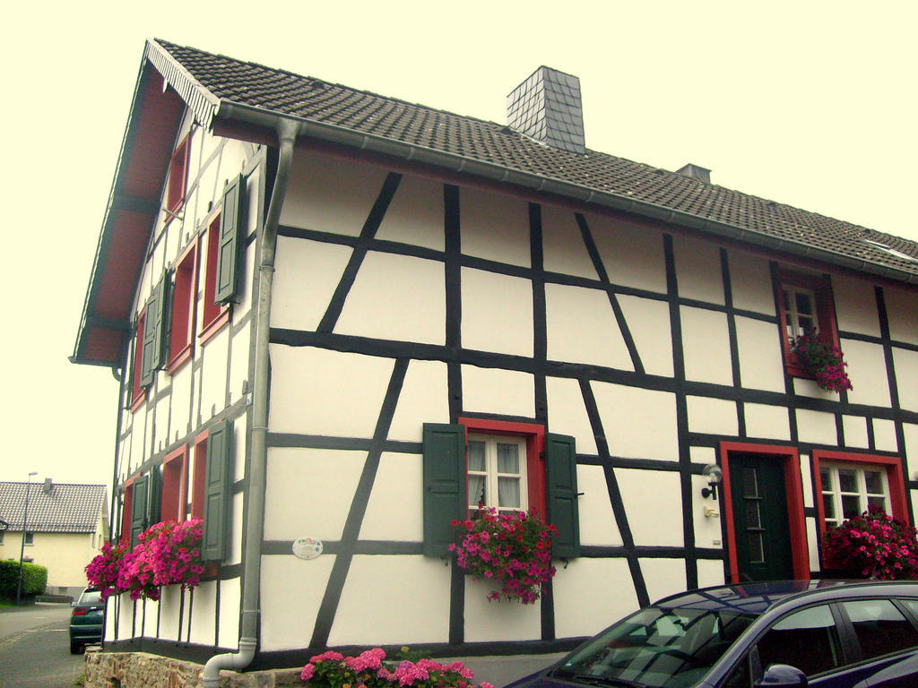 Ferienwohnung Duerbaum Schleiden Oda fotoğraf
